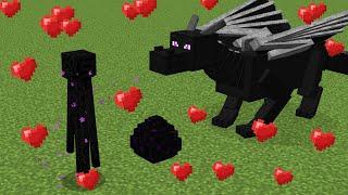 enderman ️ ender dragon