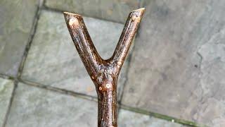 How to make simple easy Thumbstick Walking Stick