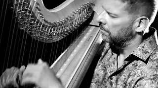 Deborah Henson-Conant: Baroque Flamenco (Version II), Michal Matejcik - Harp / harfa / harfe