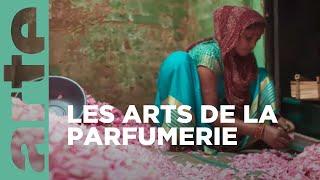 L’Inde, l’autre pays du parfum | 360° Reportage | ARTE Family