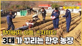 황소 같은 손자가 무려 넷! 3대가 꾸리는 한우 농장  | 오부자유친 | KBS 인간극장 2021 방송