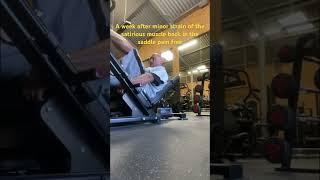 A week after a minor quad strain rehab legs pain free #rehabilitation #injury #legtraining #gym