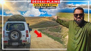 DEOSAI NATIONAL PARK: Astore To Skardu Via Deosai | Road condition of Deosai in 2024