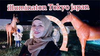 illuminaton Tokyo japan  زينة الضاءة رائعة في طوكيو اليابان