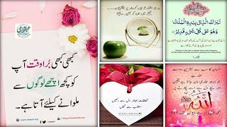 Best Urdu Quotes | Amazing Quotes | Urdu Shayari | Islamic Status | Golden Words In Urdu