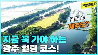 바다도 없는 광주에 웬 섬이? 현지인 추천 힐링 코스! [본방을보자_광주MBC_2023.06.22]