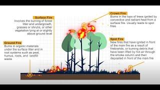 [MODULE 1] Fundamentals of Forest Fire Management