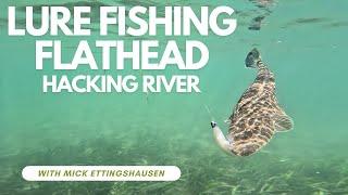 Hacking River Flathead on Lures