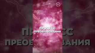 #БлагоВест  ПРОЦЕСС ПРЕОБРАЗОВАНИЯ