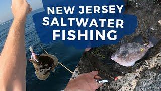 New Jersey Saltwater Fishing! From fluke to triggerfish and everything in between!