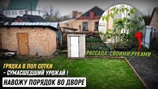 Обустройство заднего двора / Урожай на маленькой грядке / Рассада своими руками