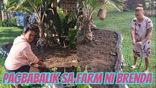 PAGBABALIK SA FARM NI @BrendaMageOfficial / MOMSHIE G