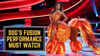 Greatest Fusion Performance Acts | Animal Magic Show & AGT Fusion Performance