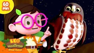 IS THAT A NIGHT OWL?!  | Sky Hunters | Leo the Wildlife Ranger | Kids Cartoon