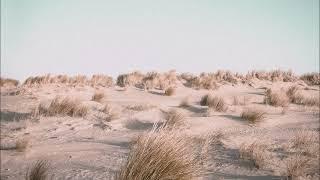 Terbium by RFM (Royalty Free Music) Contemplative, Relaxed, Bubbly Synth