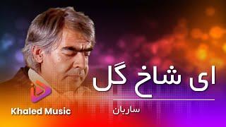 Ustad Sarban  - Ay Shakhe Gul     / استاد ساربان ای شاخ گل