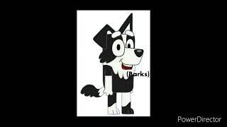 Mackenzie Border Collie Is Barking