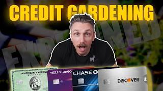 Credit Gardening Strategy For 2024