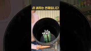 버려진 페트병으로 부자가 되었습니다 #재활용 #diy #꿀팁 #노하우 #아이디어