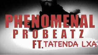 PROBEATZ - Phenomenal ft Tatenda LXA  (official performance video)