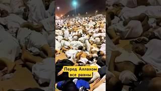 Спать на этой Земле Сунна Пророка ﷺ! #shotrs