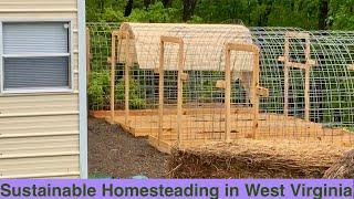 Sustainable Homesteading in West Virginia