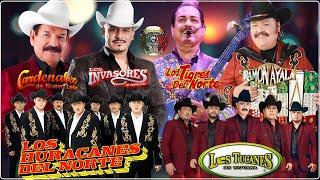 Ramon Ayala, Tigres Del Norte, Rieleros Del Norte, Traileros Del Norte, Terribles Del Norte, Duelo