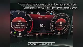 Скрытые функции для Skoda Karoq 2019 2020 2021 2022 (FLA, VIM, XDS и активация других опций) 