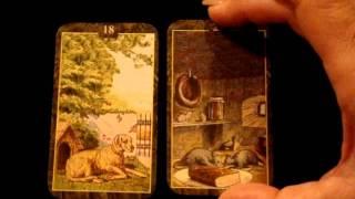 Lenormand Card Combinations for Beginners: The Dog Card