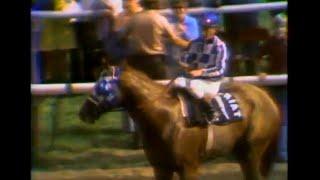 Secretariat at Arlington Park 1973