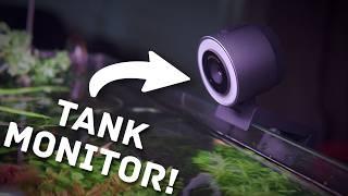 How I Monitor My Planted Tank from Anywhere—Live! | BenQ ideaCam S1 Plus Live Demo Webcam