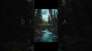 Dikhawa || Aarav Mishra || Satyam Choudhary