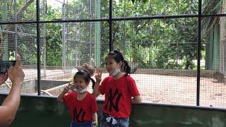 Khám phá rừng xanh và các con vật/Su Thỏ xí muội đi chơi sở thú #ximuoi #zoo #sothu #Khampharungxanh