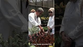 Kunjungan Dinas Perikanan dan Pertanian Kota Makassar untuk belajar urban farming