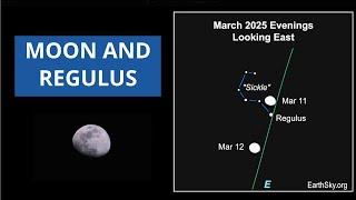 Look for the Moon and Regulus March 11 and 12