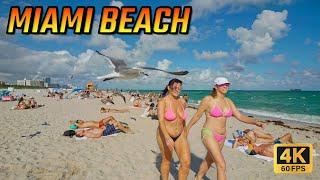 Miami Beach Walking Tour