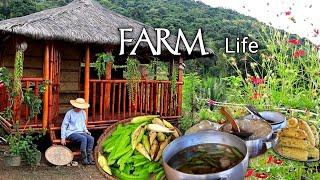 Revarnish My Bahay Kubo | Harvesting and Cooking Winged Bean