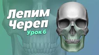 Моделирование Черепа. Часть 6. Верхняя и Нижняя Челюсти.