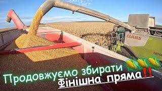 Ефектне відео про обмолот кукурудзи‼️ Блу-Н на кукурудзі‼️