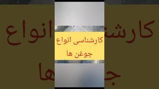 کارشناسی انواع جوغن #دفینه #گنج #ترند #باستانشناسی #جوغن_شناسی