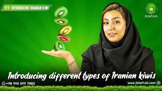 Export and import of persian Kiwi : Introducing different types of Iranian kiwis