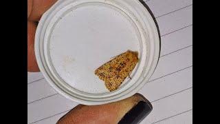 Moth trapping - Gamston Wood February 20th 2025