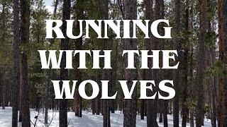 Celeste Rose – Running With The Wolves | OFFICIAL VIDEO