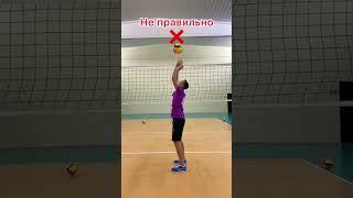 Как правильно пасовать в волейболе ? #пас #волейбол #volleyball