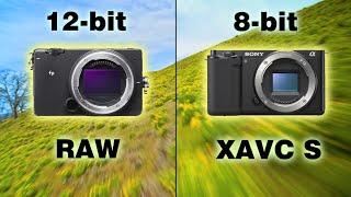 Sigma fp VS Sony ZV-E10 - A Cinematic Comparison