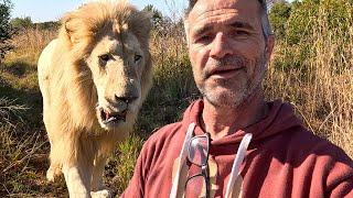 Aggressive LION or Loving Leader? | The Lion Whisperer