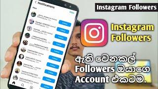 Instagram Followers Sinhala | Instagram Followers Hack  | Instagram Free Followers