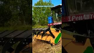 МУЛЬЧЕР НА ПОЛЕСЬЕ ИДЕАЛЬНО 89177999698 подпишись #трактор #agro #mtz #мульчер #сельхозтехника