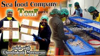 Thoothukudi meenavan meet  Mr.Kaatupoochi |Seafood company tour|  Packing of Nethli fish - Anchovies