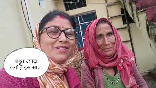 मिर्च की खेती। Uttarakhand farmers। Asha Chaudhary।devbhoomi uttarakhand #new#vlog#viral#viralvideo